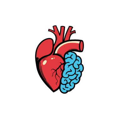 Kırmızı anatomik bir kalbi mavi bir beyinle birleştiren vektör çizimi duygu ve mantık arasındaki dengeyi sembolize ediyor.