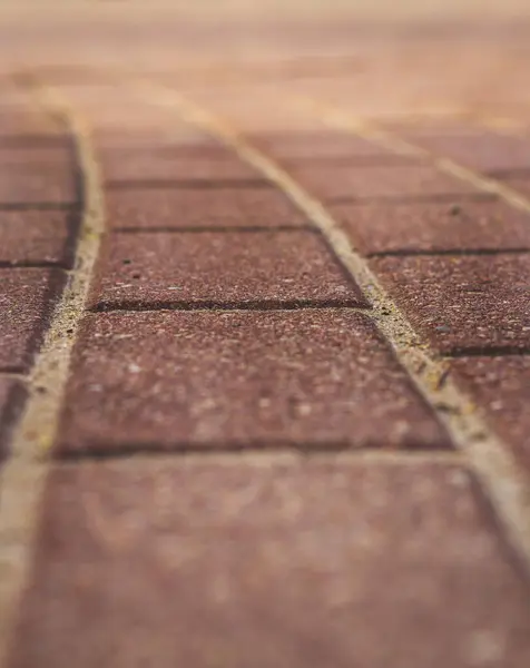 Close up shot of the interlocked bricks of the pavement surface