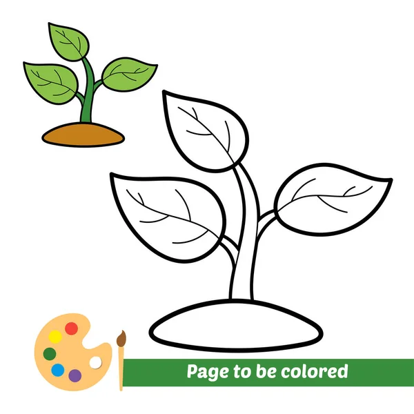 Malbuch Für Kinder Pflanzensamen Vektor — Stockvektor