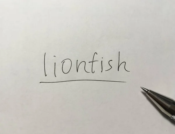 Λέοντα Έννοια Lionfish Χαρτί Φόντο — Φωτογραφία Αρχείου