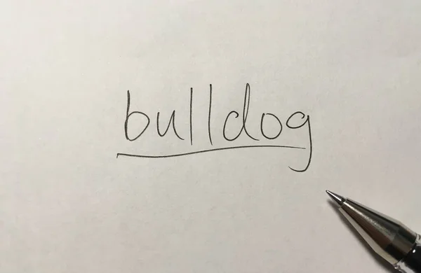 Bulldog Begrepp Ord Papper Bakgrund — Stockfoto