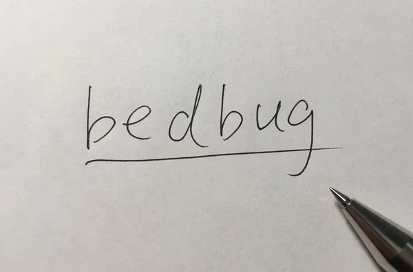 Bedbug Fogalom Szó Papíron Háttér — Stock Fotó