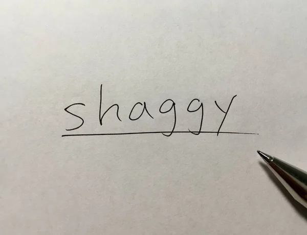 Shaggy Konzept Wort Auf Papier Hintergrund — Stockfoto