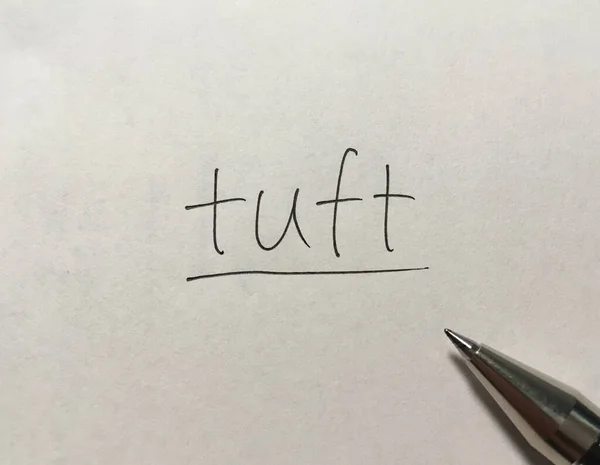 纸背的Tuft概念词 — 图库照片