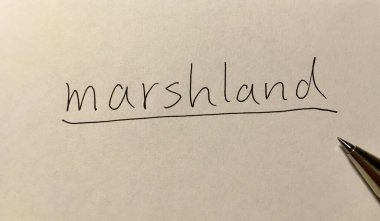 Kağıt arkaplanda bataklık kavramı