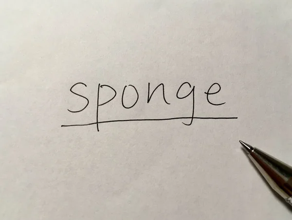 Sponge Konsep Word Latar Belakang Kertas — Stok Foto