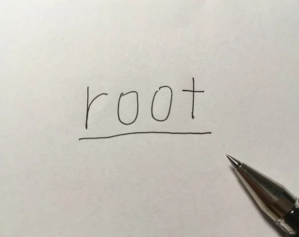 Root Concept Word Paper Background — Stock Photo, Image