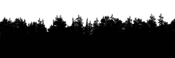 針葉樹林のシルエット背景パノラマの3Dイラスト 丘陵林の詳細な屋外の背景 針葉樹林の広いシームレスなパノラマ — ストック写真