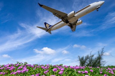 Phuket Havaalanı Tayland 'daki çiçek tarlasına inen uçak..
