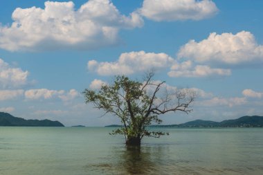 Göl ve mavi gökyüzü ile güzel bir manzara.