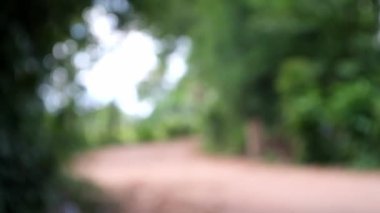 Soyut bulanık ağaç ışıkları bokeh arkaplan, parlak arkaplan, bulanık odak hareket