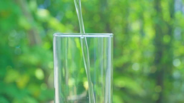 Pouring Purified Water Glass Water Blurry Green Leaf Background — Stock Video