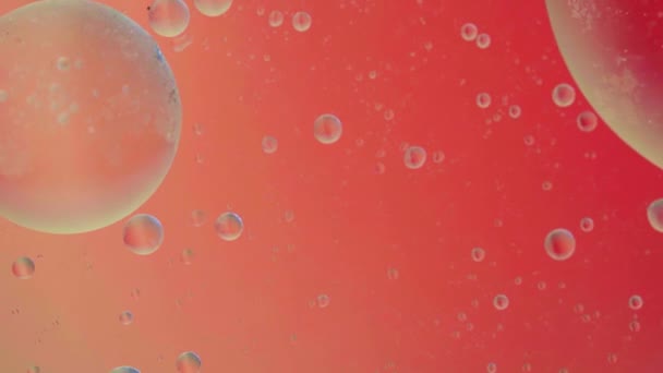 Ölblase Bewegt Sich Auf Wasser Konzept Minimalen Hintergrund Ölfarbe Räume — Stockvideo