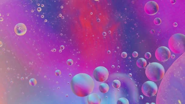 水の概念を最小限の背景に移動するオイルバブル 泡と油絵具スペース — ストック動画