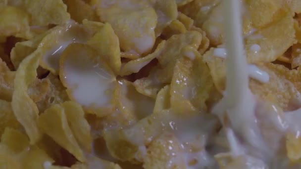 Close Leite Derramando Sobre Cereais Café Manhã Flocos Milho Crocantes — Vídeo de Stock