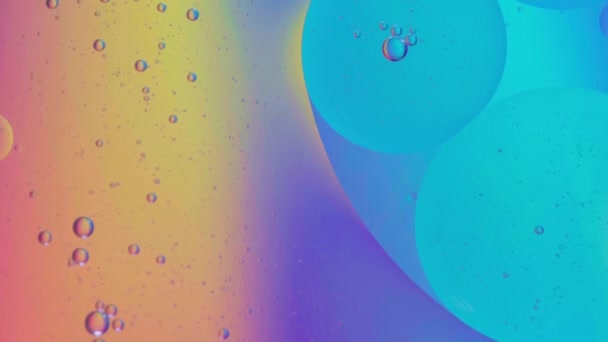 オイルバブルとカラーバックグラウンドで水上に移動する球体 マクロ写真コンセプト — ストック動画