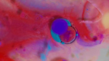 Süt, yağ ve sıvı makro zemin üzerinde hareket eden renkli akrilik boya baloncuklarının üst görünümü.