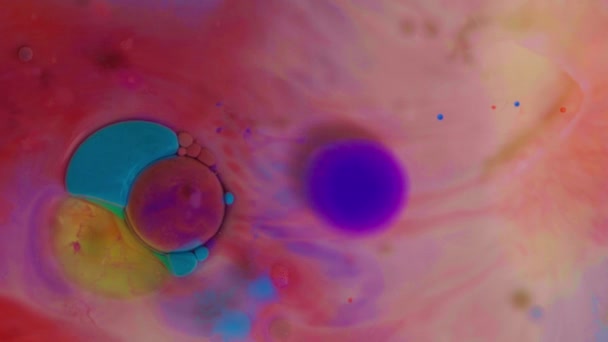 Widok Góry Kolorowych Baniek Farby Akrylowej Poruszających Się Mleko Olej — Wideo stockowe