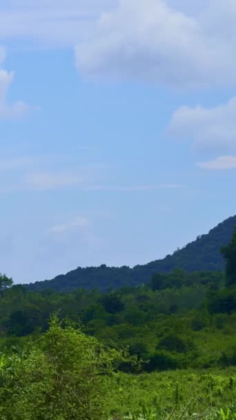 バーティカルビデオ タイムラプス 雲を動かす山の眺めの美しい景色 — ストック動画