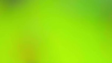 Pürüzsüz gradyan bulanık soyut holografik hareket arkaplanı.