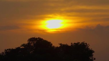 Zaman Hızı: Önplanda ağaçlarla birlikte gün batımı