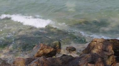 Deniz kenarındaki kayalar, yosun büyüyen ve denizde hafif dalgalar..