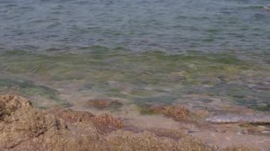Deniz suyu o kadar berrak ki yosunlu kayaları görebilirsin..