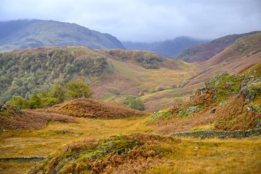 Sonbahar günü Yew Crag 'a doğru bakıyor.