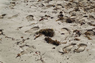 Yaz günü kumsalda ayak izleri.