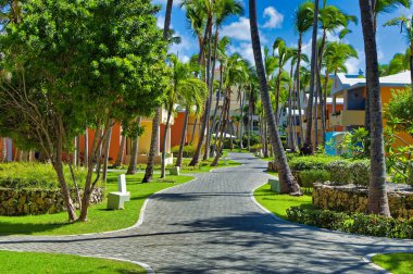 Punta Cana, Dominik Cumhuriyeti, 22 Kasım 2022: Punta Cana, Dominik Cumhuriyeti 'ndeki Bavaro plajındaki otelden günlük sahne.