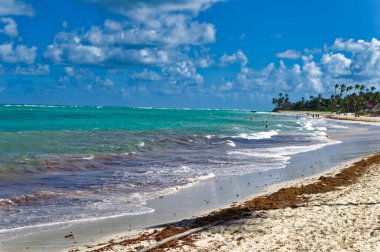 Punta Cana, Dominik Cumhuriyeti, 22 Kasım 2022: Punta Cana, Dominik Cumhuriyeti 'ndeki Bavaro plajından günlük sahne.