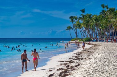 Saona Adası, Dominik Cumhuriyeti, 22 Kasım 2022: Dominik Cumhuriyeti Saona Adası plajından günlük sahne.