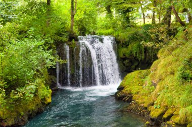 Bosna-Hersek 'te dağ nehri şelalesi ormanın derinliklerinde