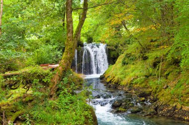 Bosna-Hersek 'te dağ nehri şelalesi ormanın derinliklerinde