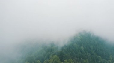 Zonguldak 'taki Orman' ın havadan görünüşü. Türkiye 'de 4K Görüntüsü