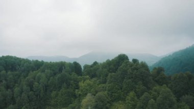 Zonguldak 'taki Orman' ın havadan görünüşü. Türkiye 'de 4K Görüntüsü