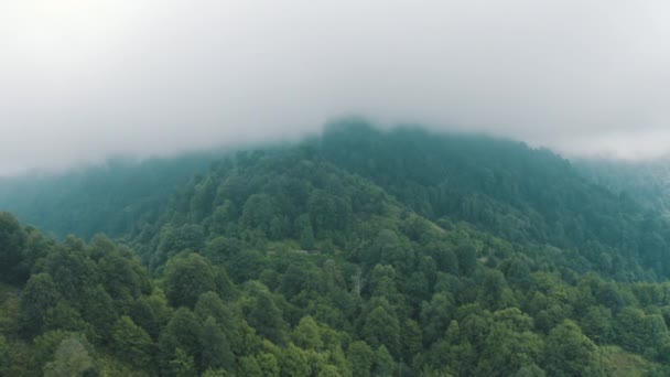 Αεροφωτογραφία Του Δάσους Στο Ζονγκούλντακ Πλάνα Στην Τουρκία — Αρχείο Βίντεο