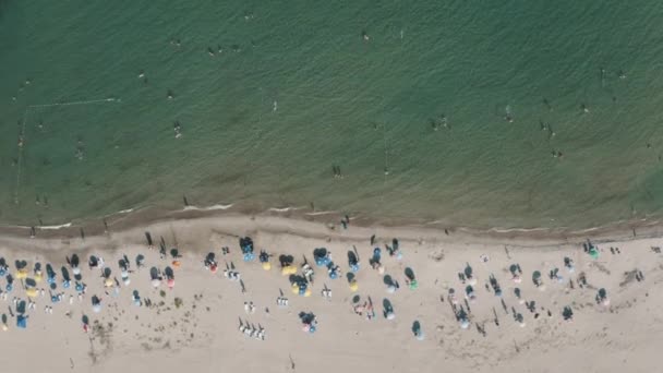 Aerial View Beach Sea Waves — Video