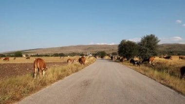 Cankiri şehrinin hava manzarası. Türkiye 'de 4K Görüntüsü