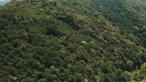 Letecký Pohled Les Zonguldaku Záběry Turecku — Stock video