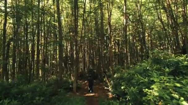 ゾングルダックの森の景色 トルコでの4K映像 — ストック動画