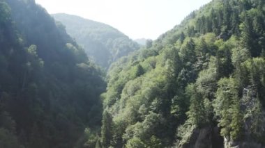 Aerial view of Forest in Trabzon. 4K Footage in Turkey