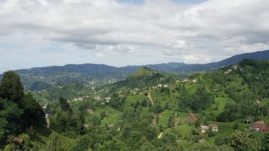 Rize 'deki yeşil çay tarlasının havadan görüntüsü. Türkiye 'de 4K Görüntüsü