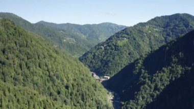 Rize 'deki Orman' ın havadan görünüşü. Türkiye 'de 4K Görüntüsü