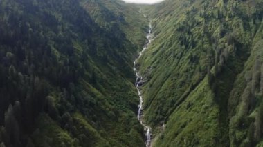 Aerial view of Forest in Rize. 4K Footage in Turkey