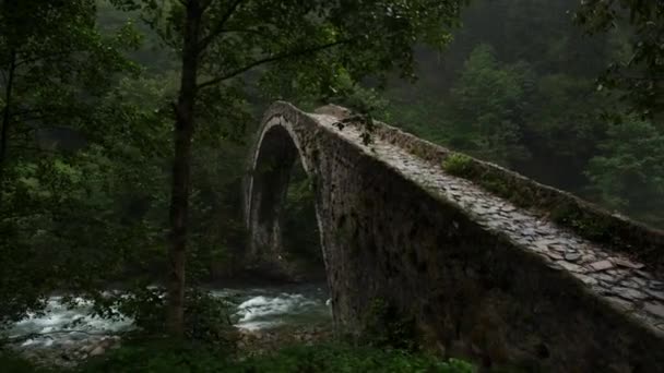 มมองของสะพานห นประว ศาสตร สะพานเซน าในไรซ โอในต — วีดีโอสต็อก