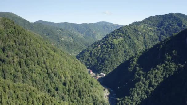 Aerial View Forest Rize Footage Turkey — Stockvideo