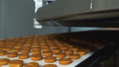 Industrial food factory or bakery, cookies on automated production line or conveyor belt, 