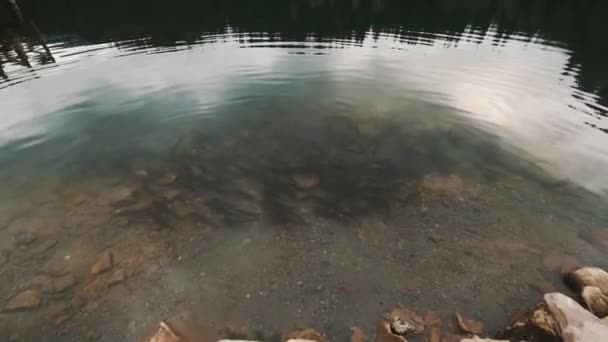 Вид Воздуха Озеро Карагол Артвине Кадры Турции — стоковое видео