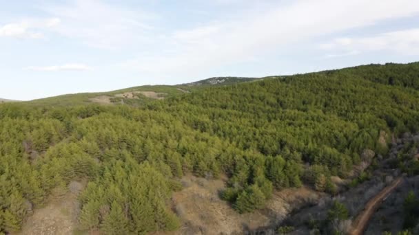 Erdőre Rálátni Artvinban Felvételek Törökországban — Stock videók